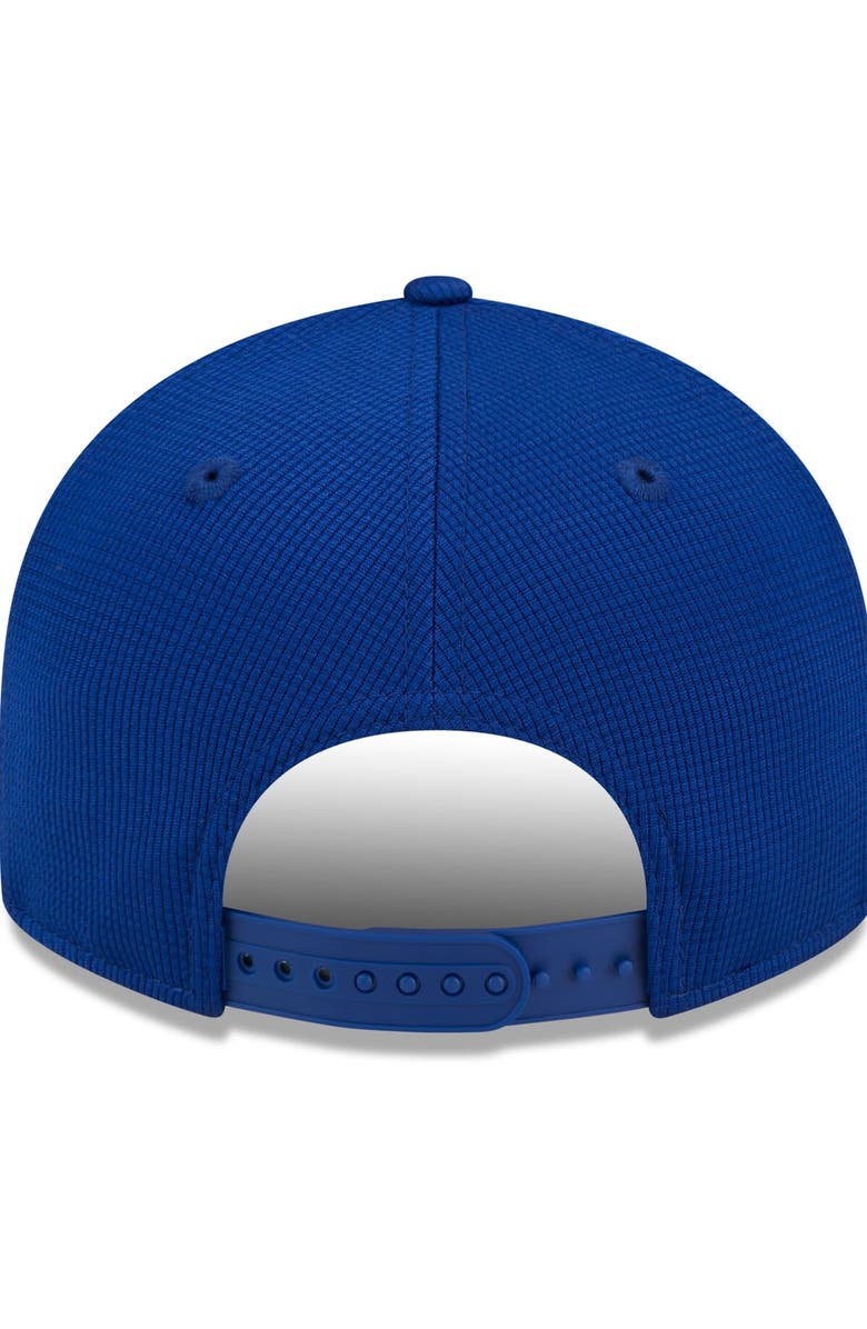 New Era Men's New Era Royal Chicago Cubs 2025 Batting Practice Low Profile 9FIFTY Snapback Hat, Alternate, color, Royal