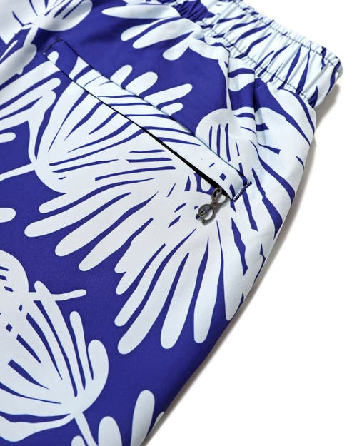 Mosmann Australia Board Shorts In Blue