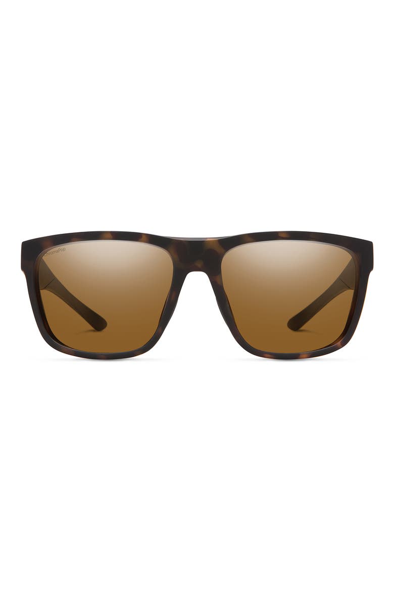 Barra 59mm ChromaPop™ Polarized Sunglasses, Main, color, MATTE TORTOISE/ BROWN