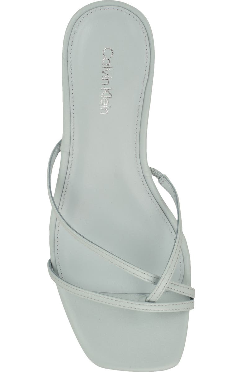 Calvin Klein Axella Toe Loop Sandal, Alternate, color, Light Green