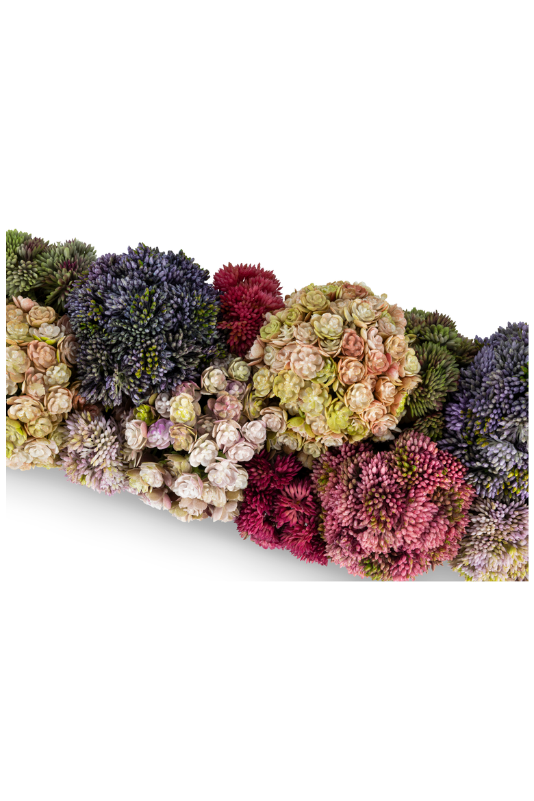 Arden Oblong Sedum Arrangement, Alternate, color, Multi-Color