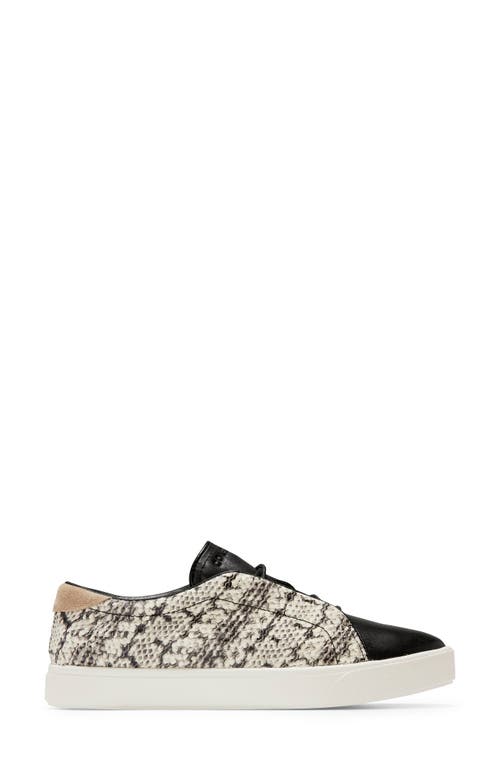 Cole Haan Grandprø Spectator Sneaker In Black/white Snake Print Suede