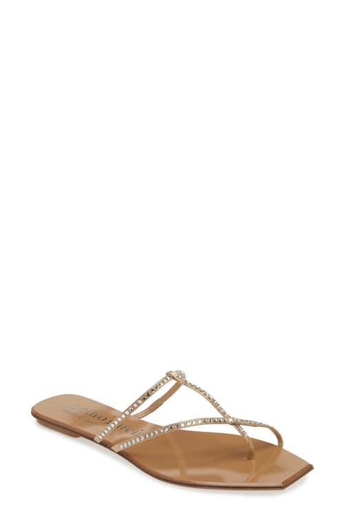 Pedro Garcia Vivian Crystal Toe-strap Flat Sandals In Ore