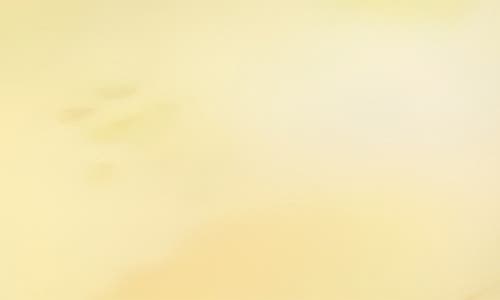 Macrae & Co . Maggie Drop Earrings In Gold