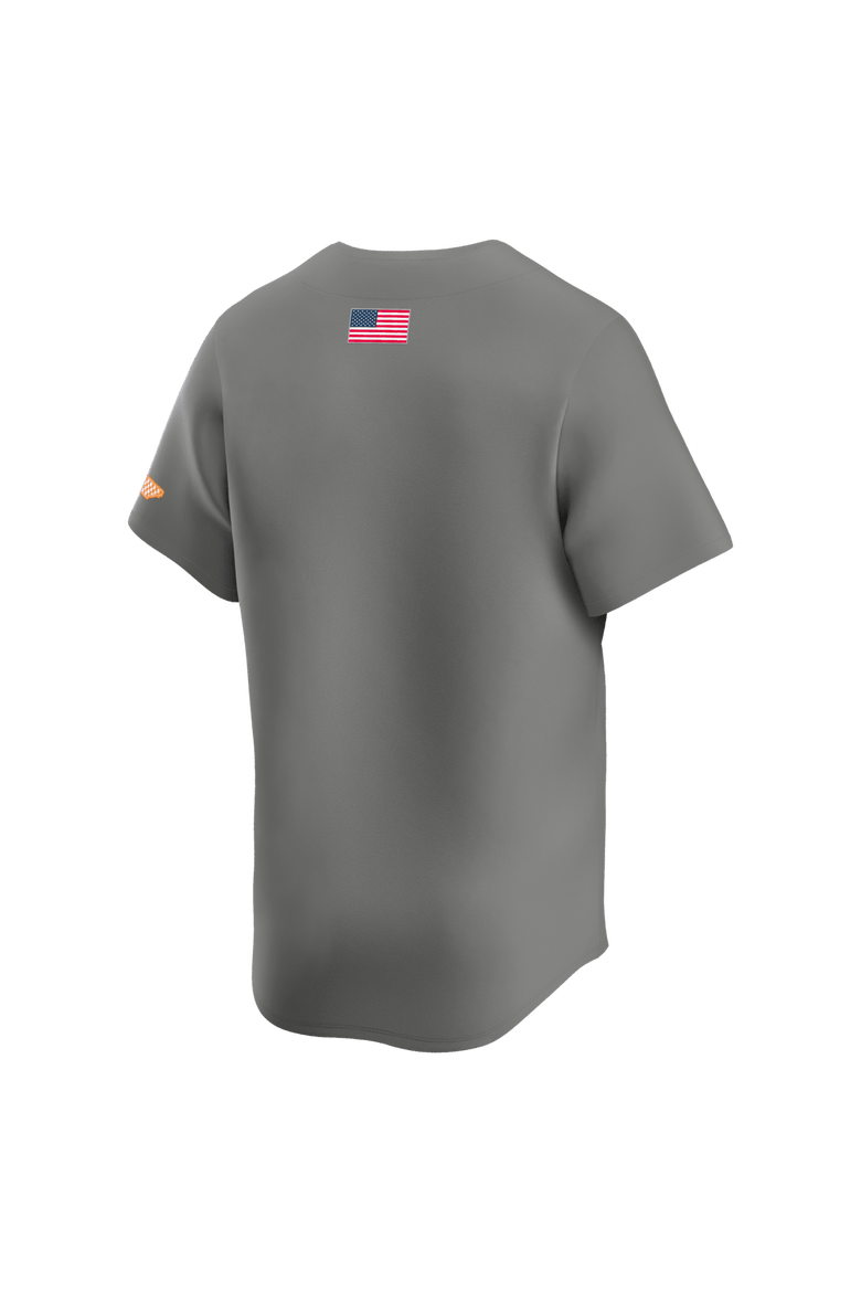 Men's Nike  Gray Tennessee Volunteers Alternate Limited Baseball Jersey, Alternate, color, Gray