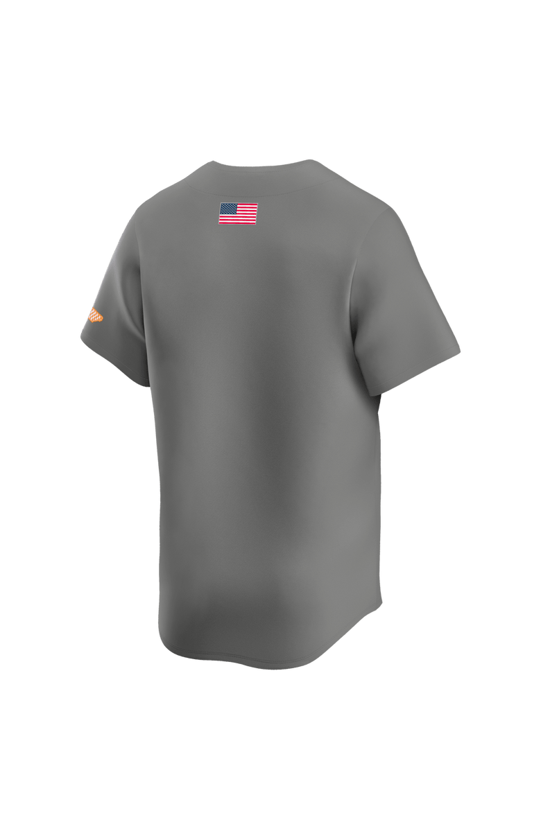 Nike Men's Nike  Gray Tennessee Volunteers Alternate Limited Baseball Jersey, Alternate, color, Gray