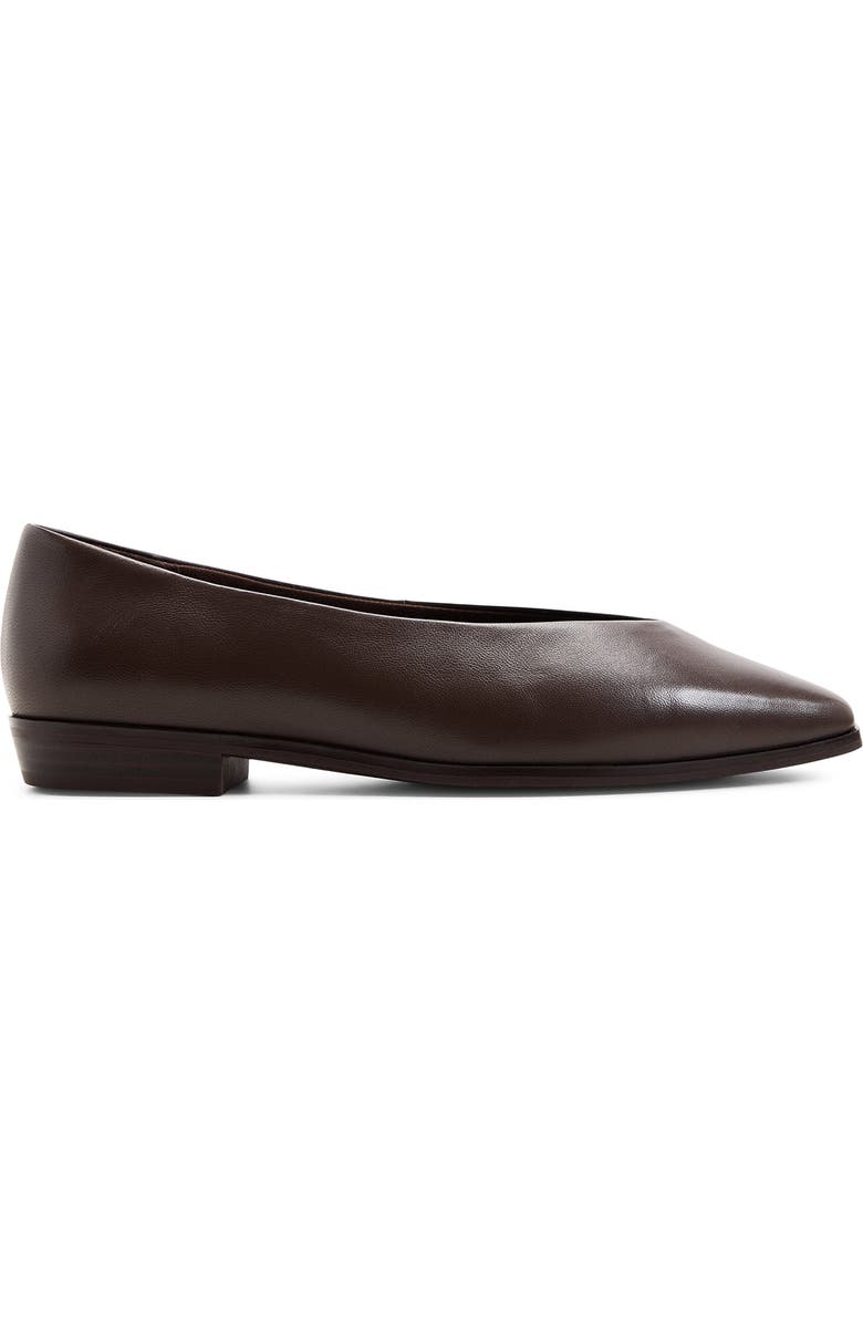 ALDO Devereteriel Flat, Alternate, color, Dark Brown