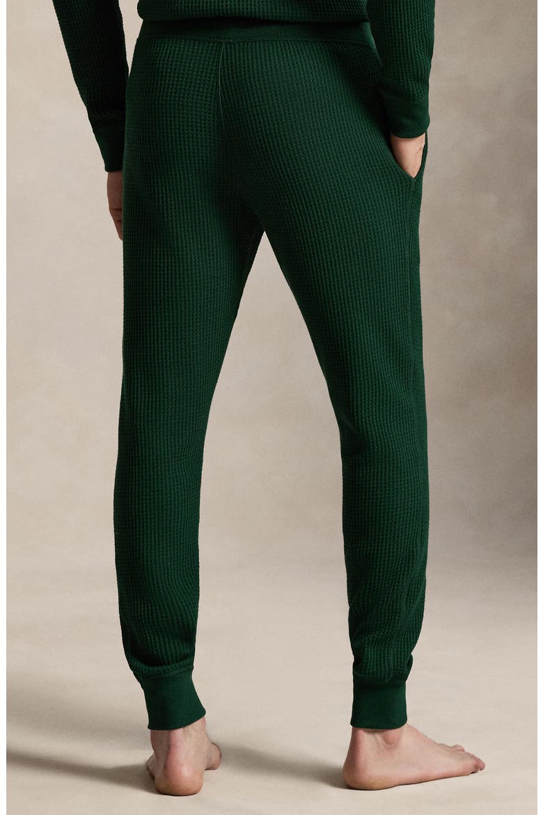 Thermal Pajama Joggers, Alternate, color, MOSS AGATE/ CRUISE NAVY PP