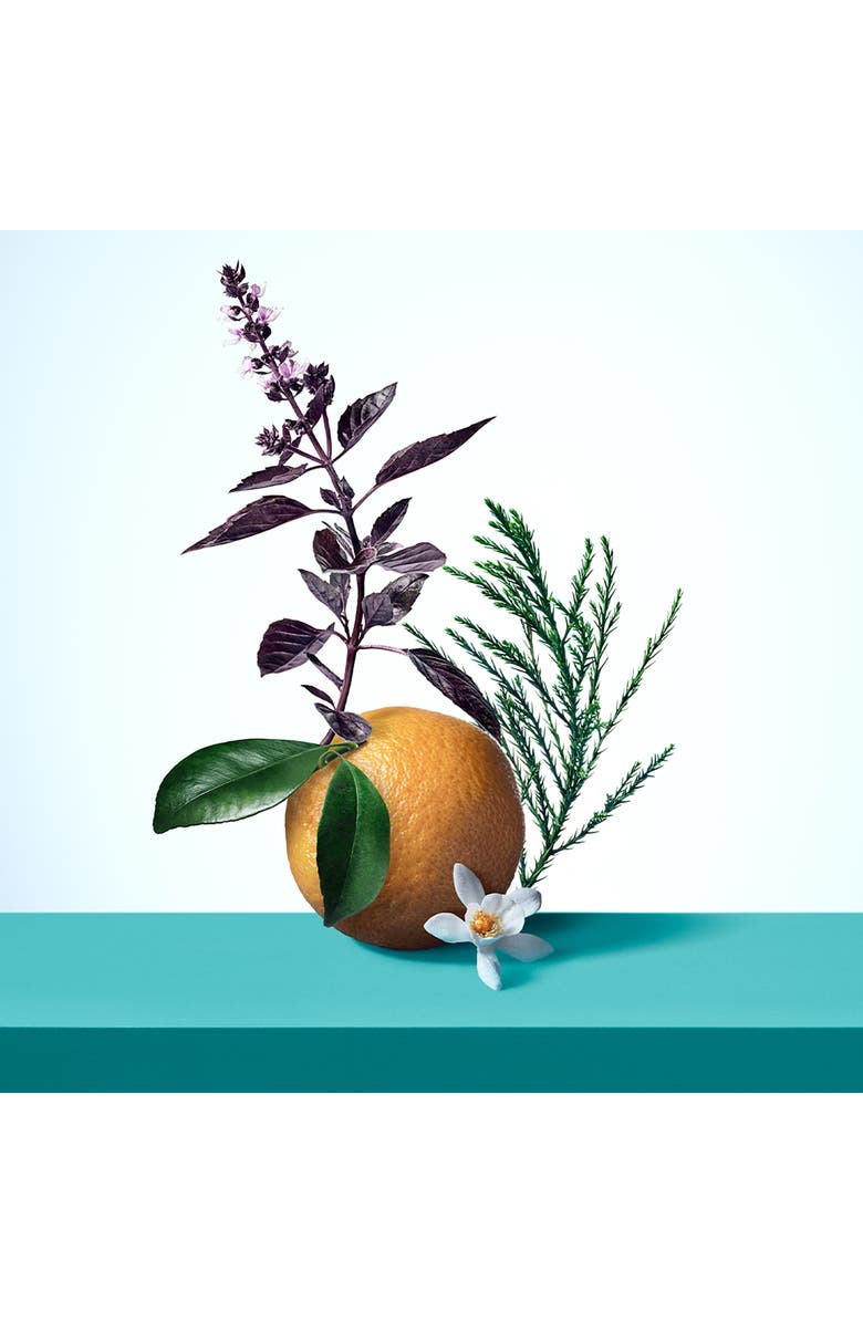 Tiffany & Co. Tiffany & Love Eau de Parfum for Her, Alternate, color,