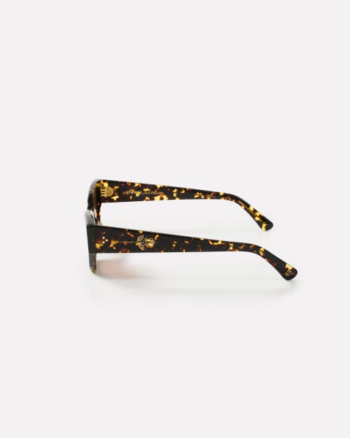 Epokhe Reprise Sunglasses