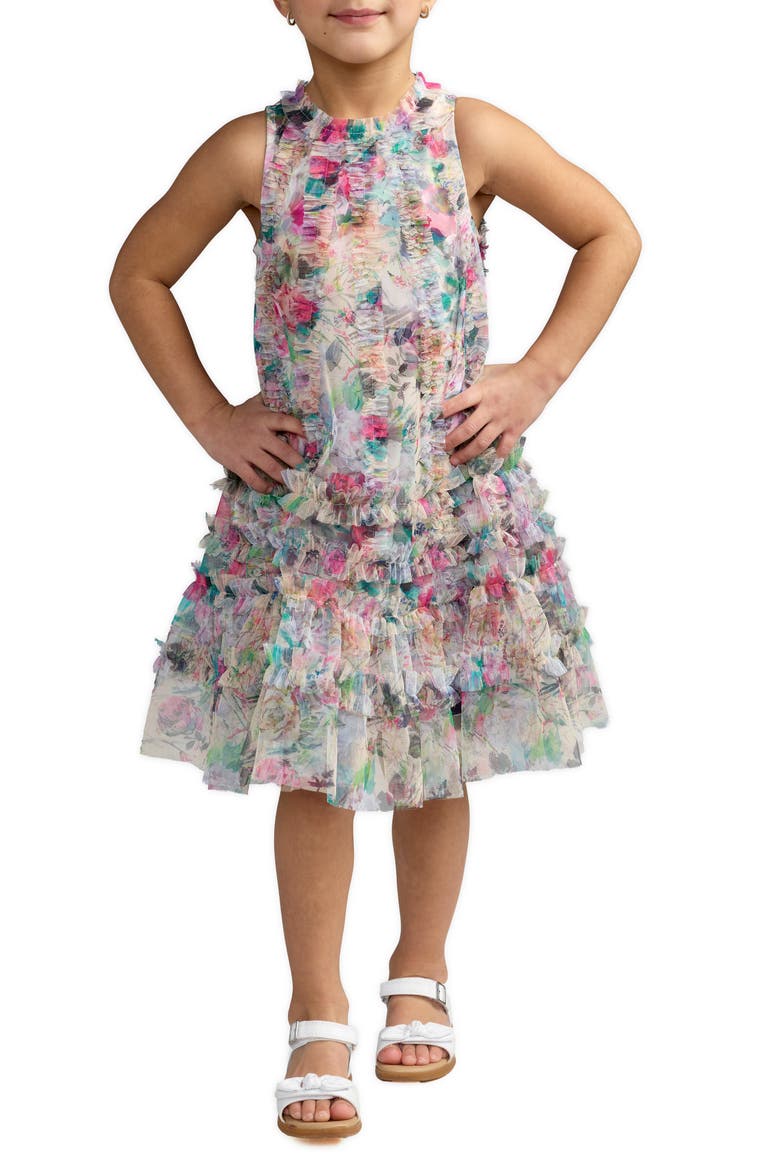 Girls Mesh Floral Print A-Line Dress, Main, color, Nude Multi