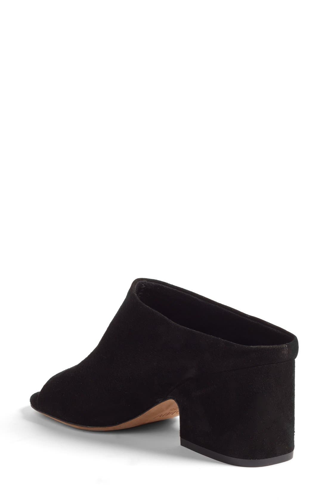 Vince Petra Mule, Alternate, color, 