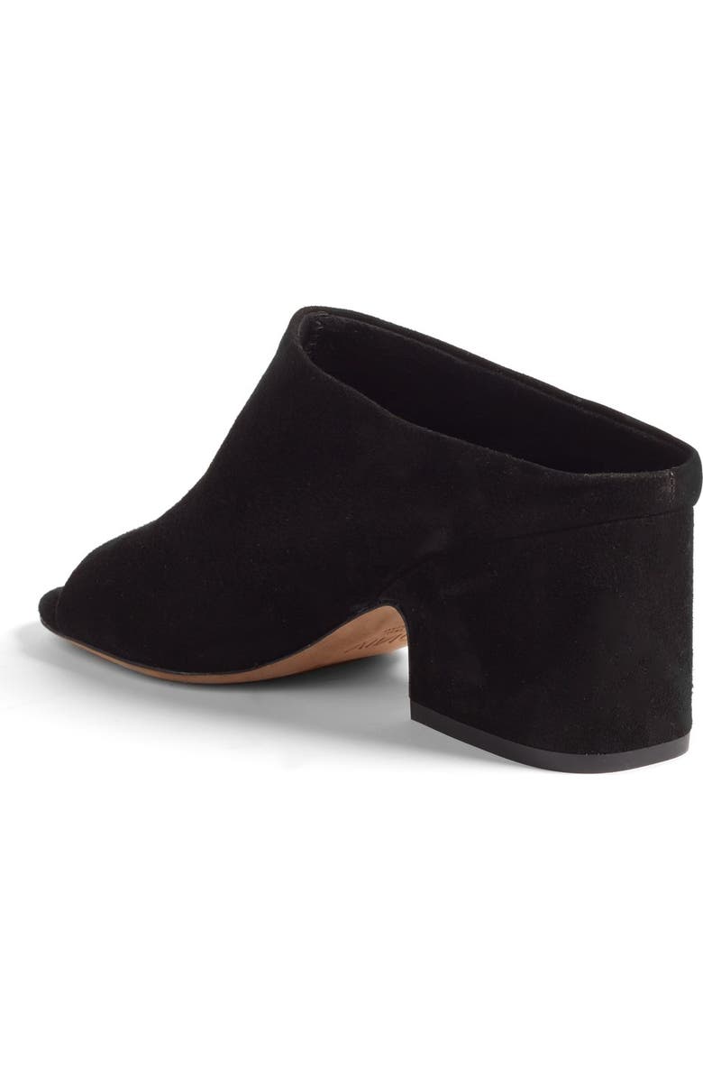 Vince Petra Mule, Alternate, color,
