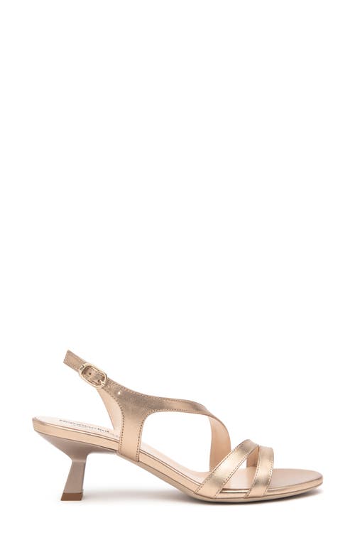 Nerogiardini Slingback Kitten Heel Sandal In Gold