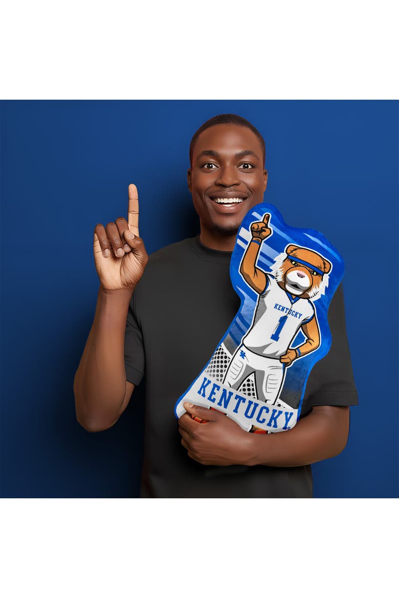 University of Kentucky 24" Sideline Pal, Alternate, color, None