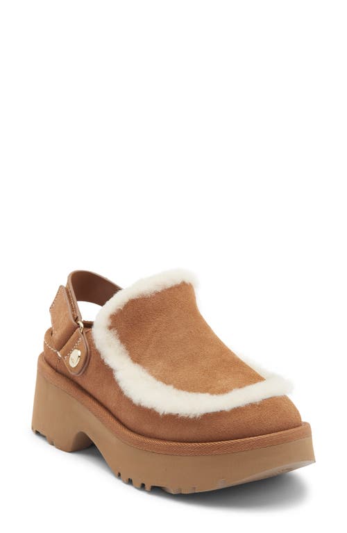 Ugg(r) Esmee Genuine Shearling Clog In Brown