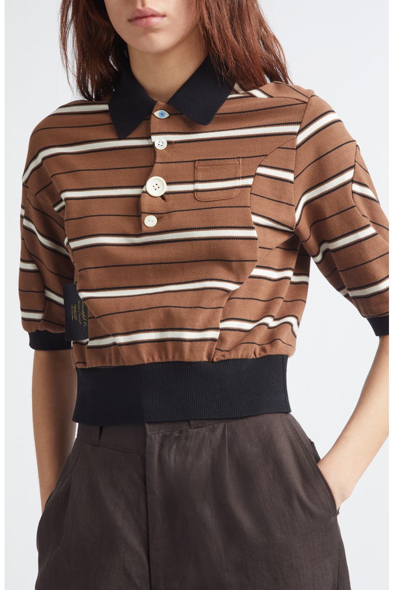 Stripe Crop Cotton Piqué Polo, Alternate, color, BROWN BORDER