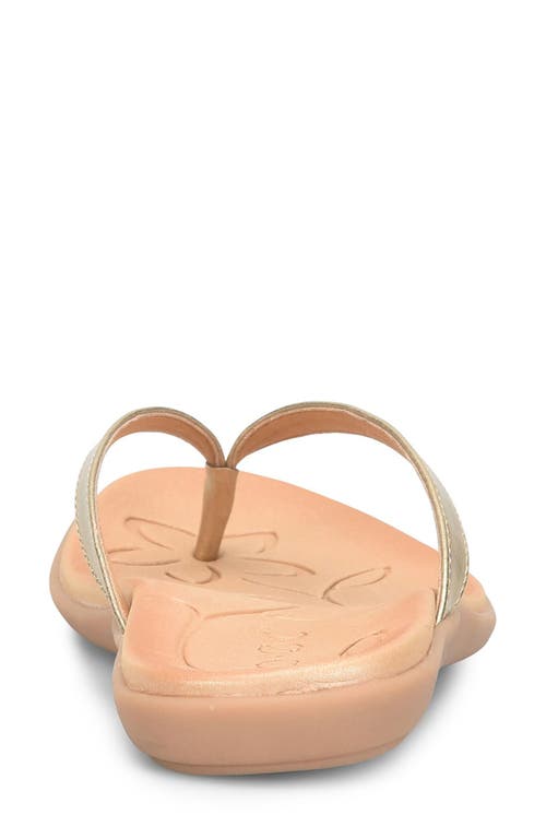 Shop B O C By Børn Hanna Flip Flop