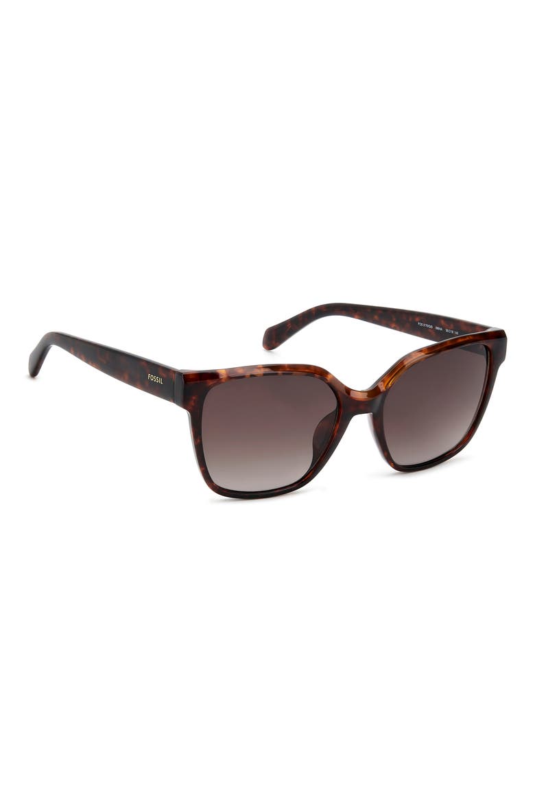 55mm Gradient Cat Eye Sunglasses, Alternate, color, HAVANA/ BROWN SF