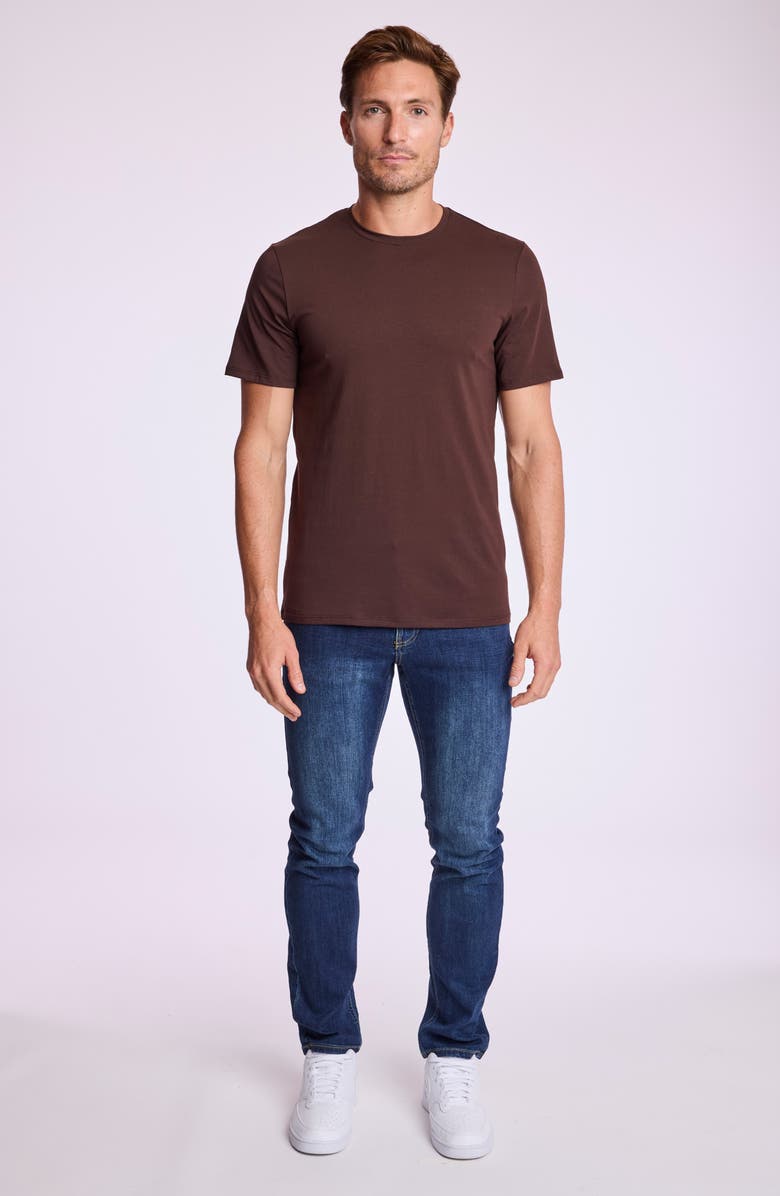 PAISLEY & GRAY Lucas Crewneck T-Shirt, Alternate, color, Dark Brown