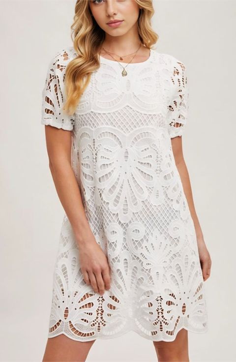Lace Overlay Puff Sleeve Mini Dress