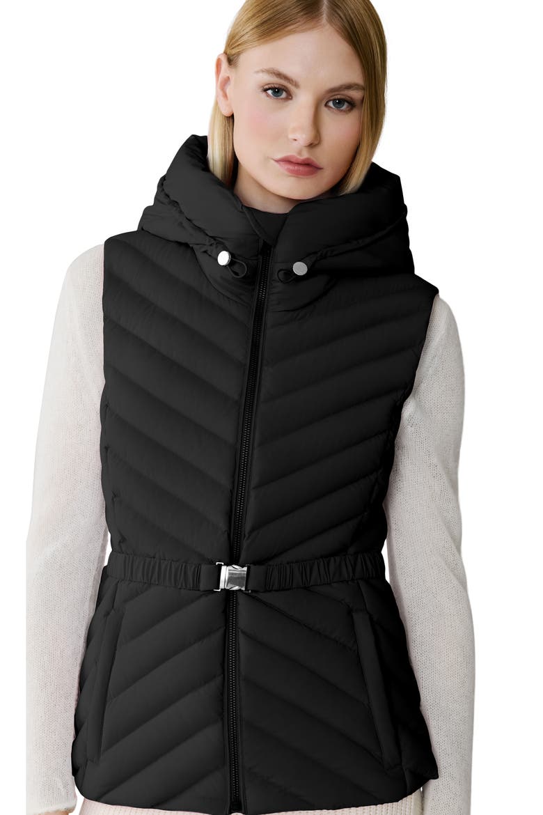 Estelle Water Resistant 700 Fill Power Hooded Down Vest, Alternate, color, BLACK
