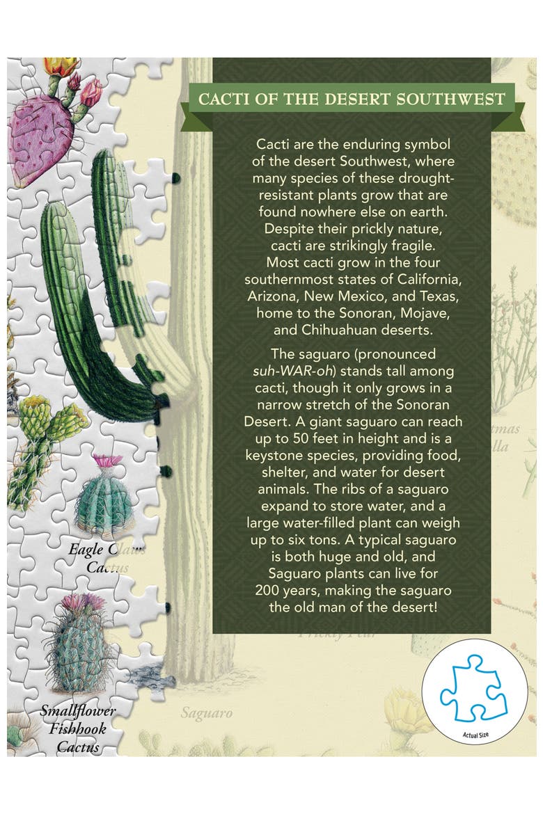 Cacti of the Southwest 1000 Piece Puzzle, Alternate, color, Multicolor