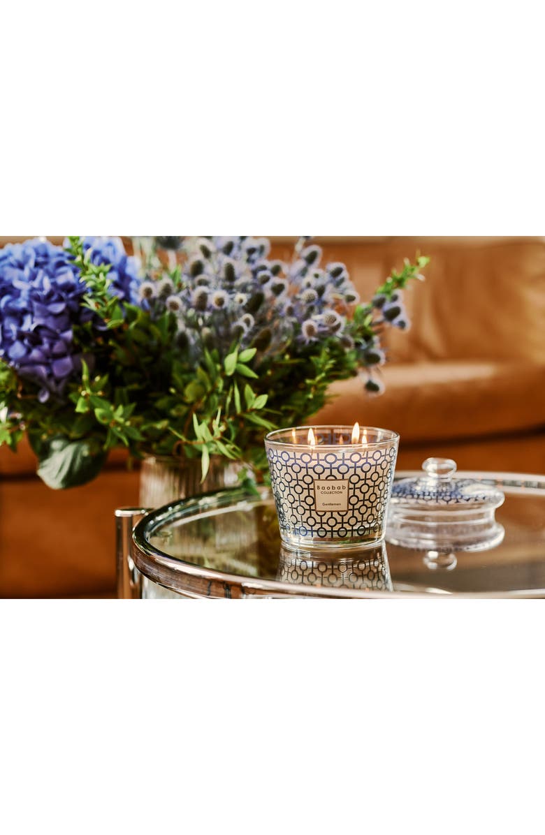 Baobab Collection Gentlemen Candle & Glass Dome Gift Set, Alternate, color, Multicolor