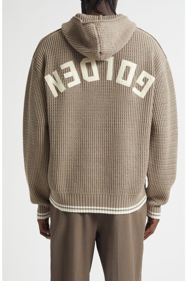 Journey Patrick Cotton Sweater Hoodie, Alternate, color, BISTRE
