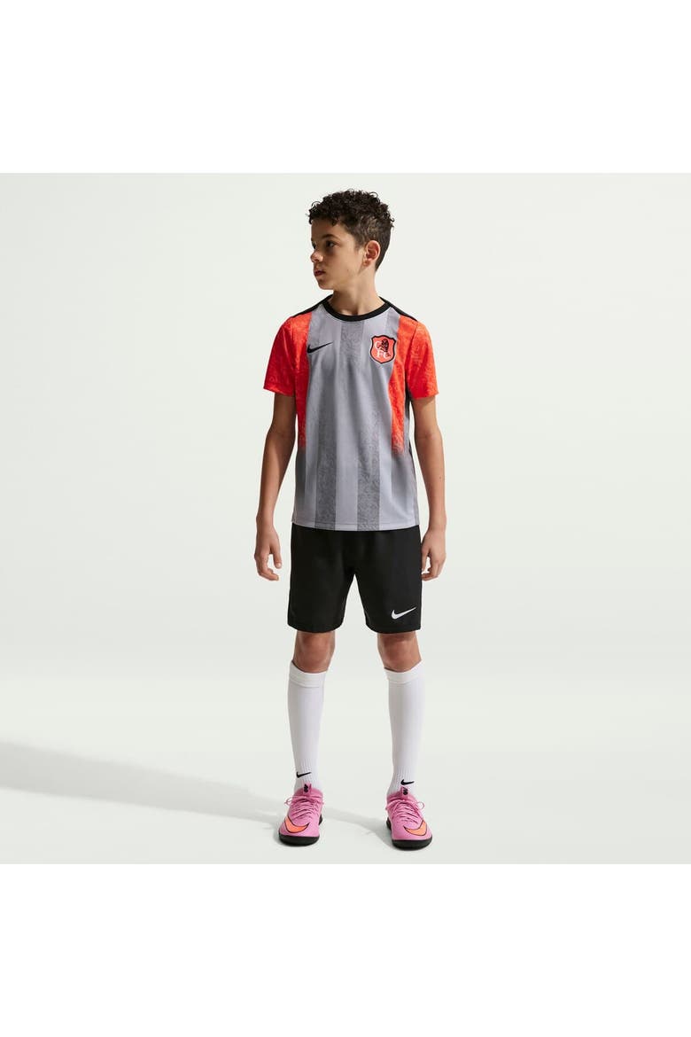 Youth Nike  Gray Chelsea 2025/26 Academy Pro Pre-Match Top, Main, color, Gray