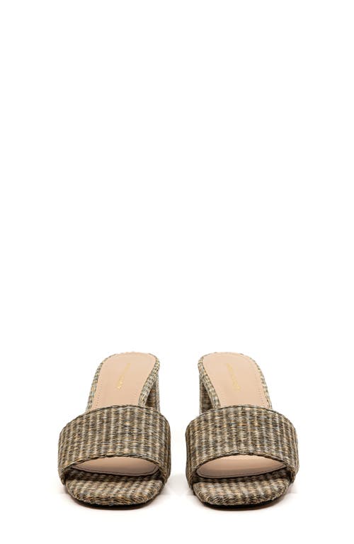 Andrea Gomez Claudia Raffia Mules In Grey