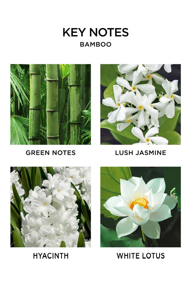 Bamboo Scented Candle, Alternate, color, NO COLOR