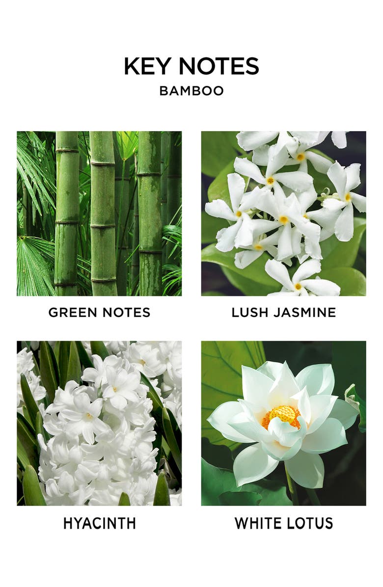 Bamboo Scented Candle