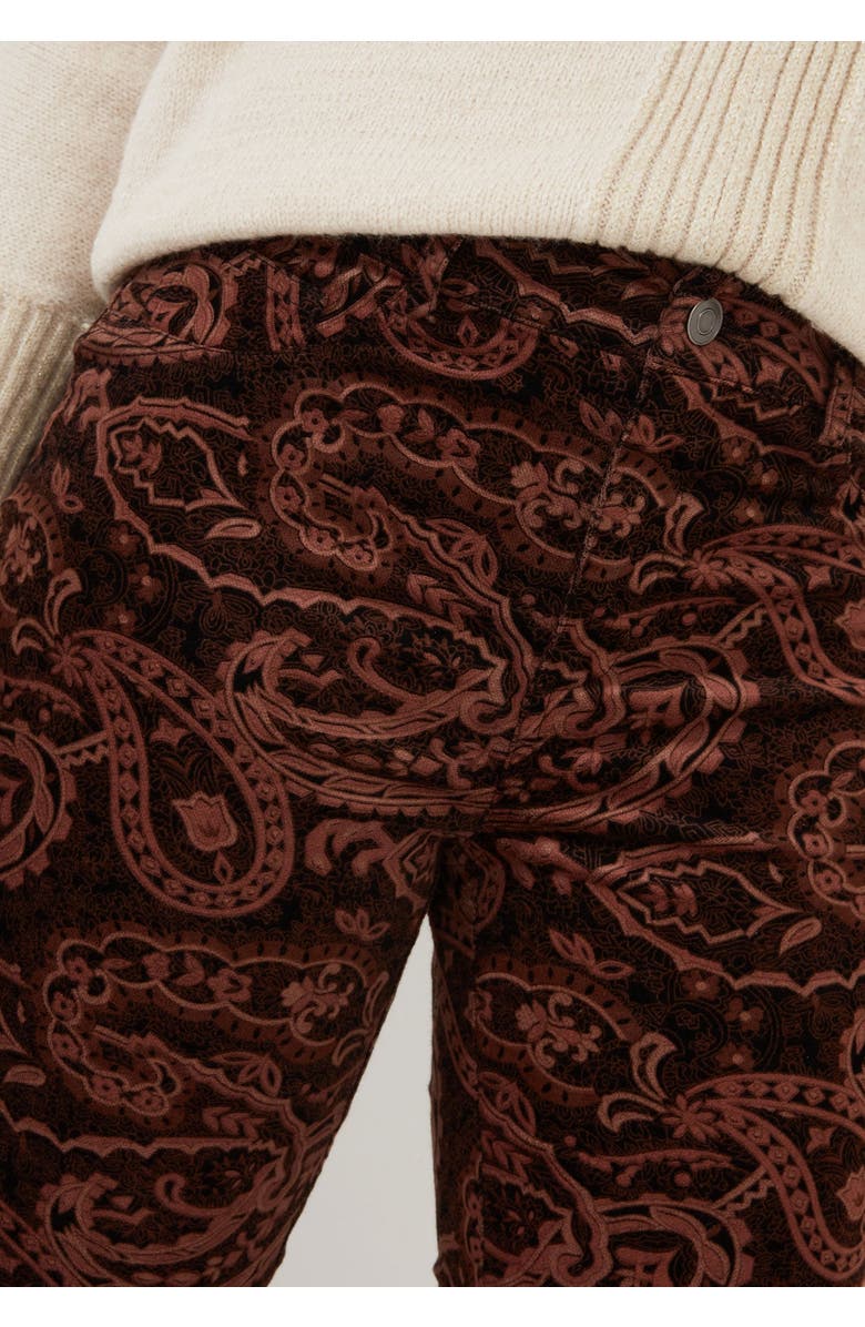 Joe Browns Moleskin Trouser, Alternate, color, Paisley