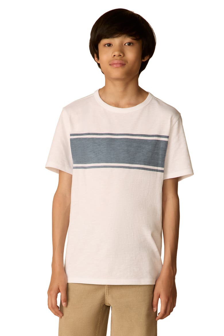 Kids' Surf Stripe Sunwashed T-shirt, Main, color, WHITE SURF STRIPE