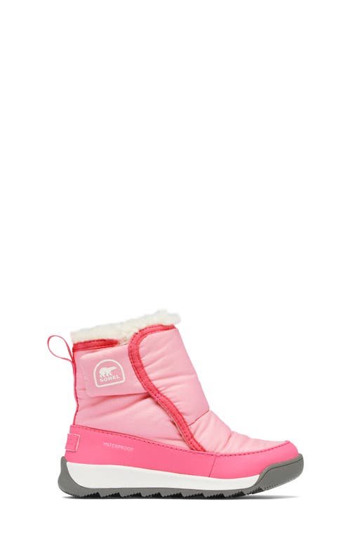 Sorel Unisex Whitney Ii Plus Waterproof Booties - Toddler, Little Kid In Blooming Pink/nico