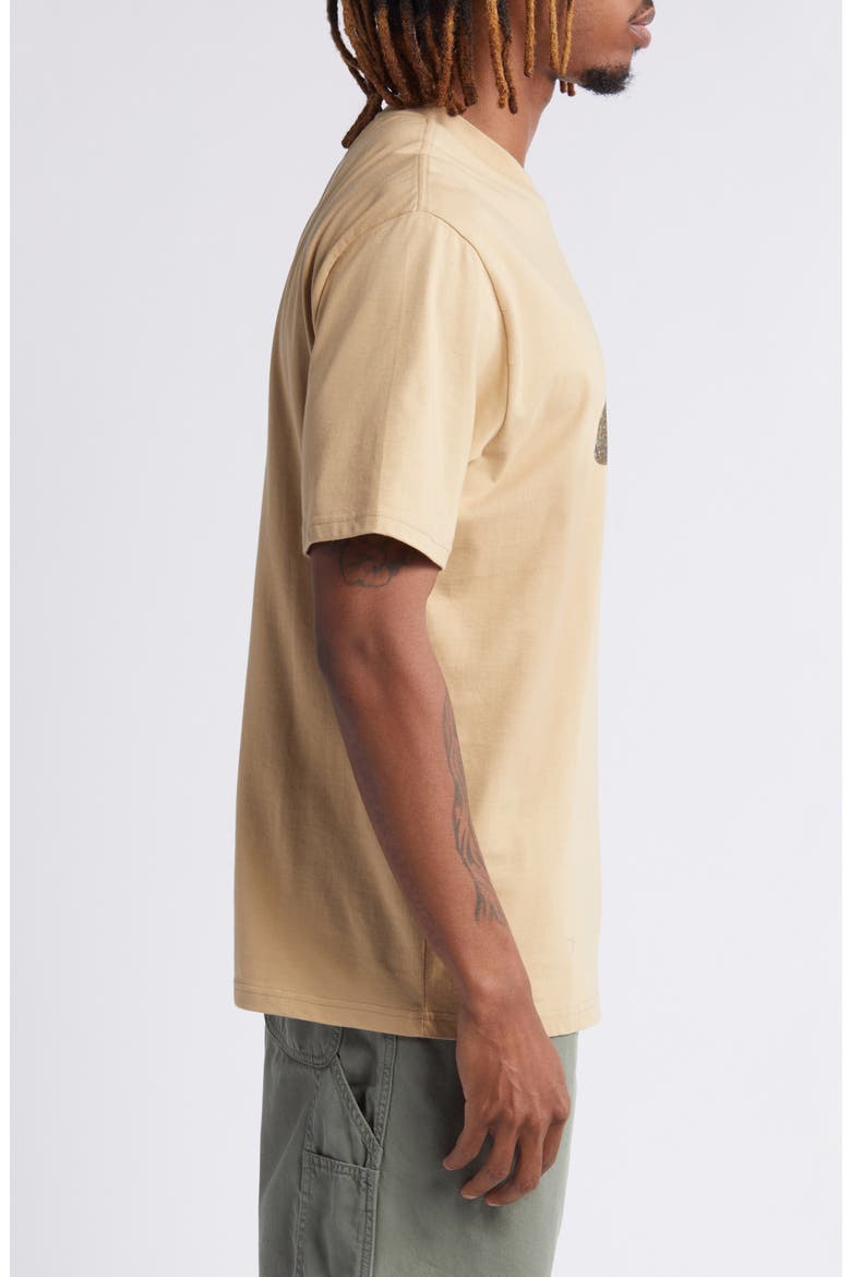 Palette Organic Cotton Graphic T-Shirt, Alternate, color, SABLE
