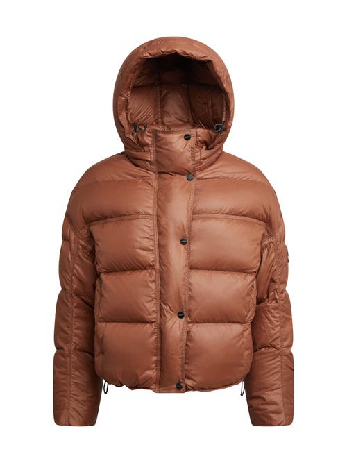 Jack1t Cloud Boss Hooded Puffer Jacket In Brown