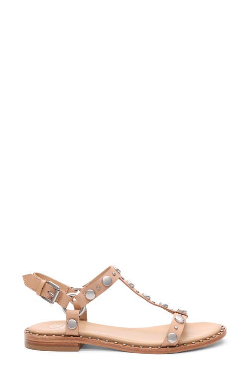 Ash Prisma Studded Slingback Sandal In Sand