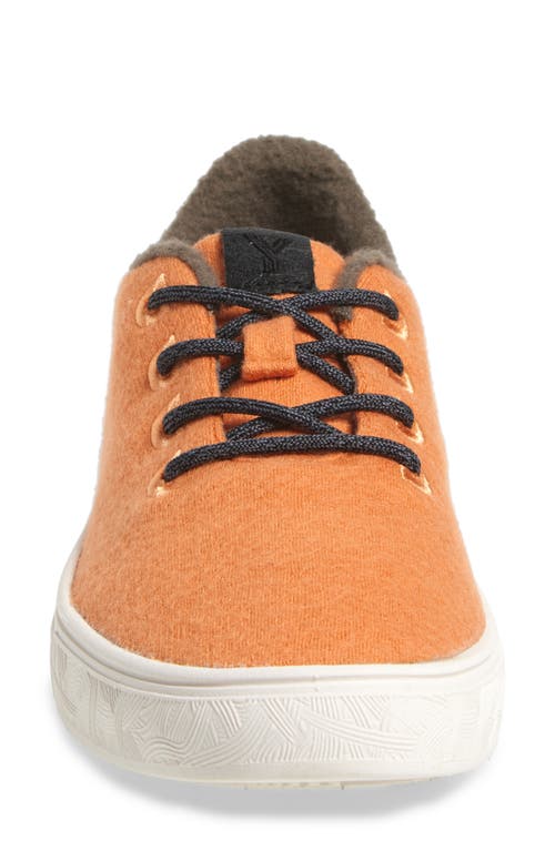 Yy Nation Cirro Wool Blend Water Resistant Low Top Sneaker In Orange Crush/white