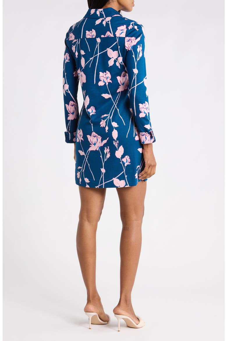 Alarica Long Sleeve Minidress, Alternate, color, FINAL ACT FLORAL BLUSH PINK