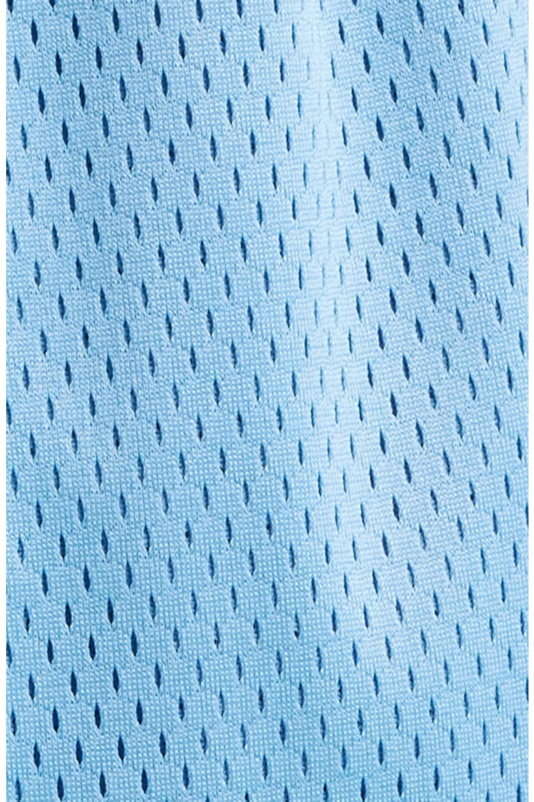 Drip Nylon Mesh Shorts, Alternate, color, ROYAL
