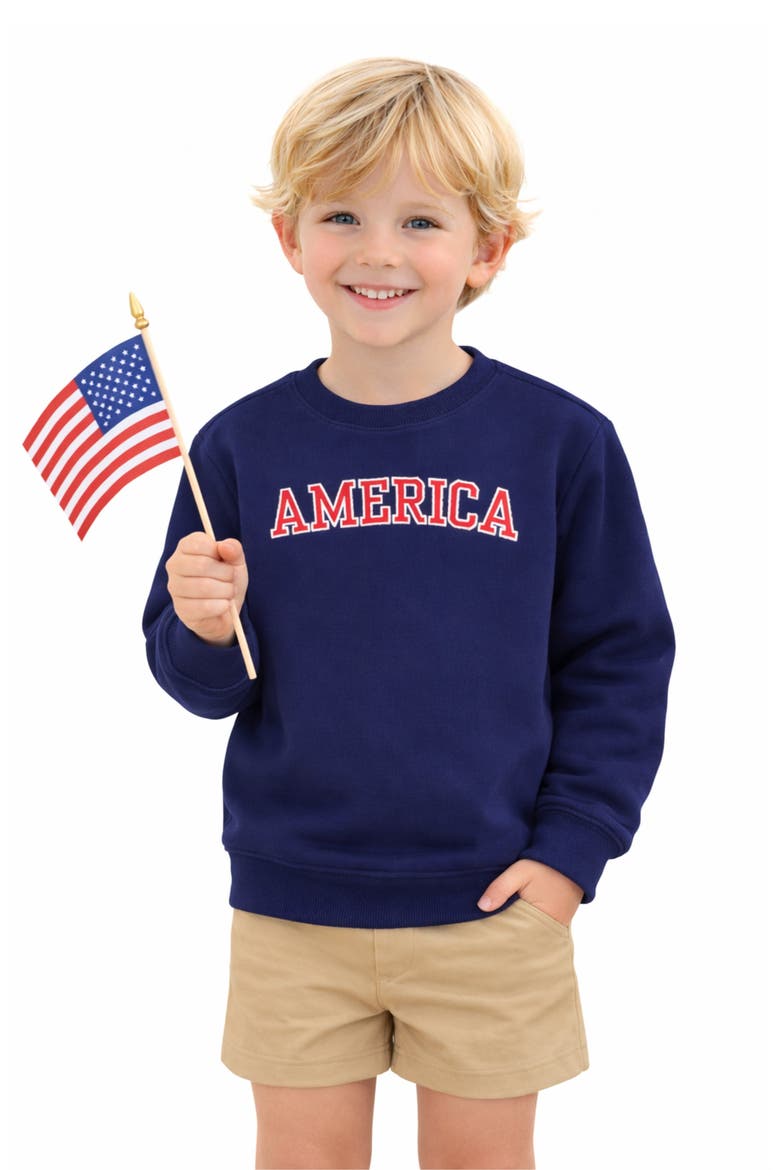 America Sweatshirt, Alternate, color, Navy Blue