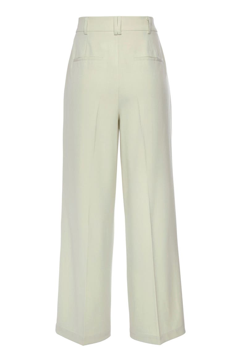 Pleated Wide Leg Trouser, Alternate, color, Light Green