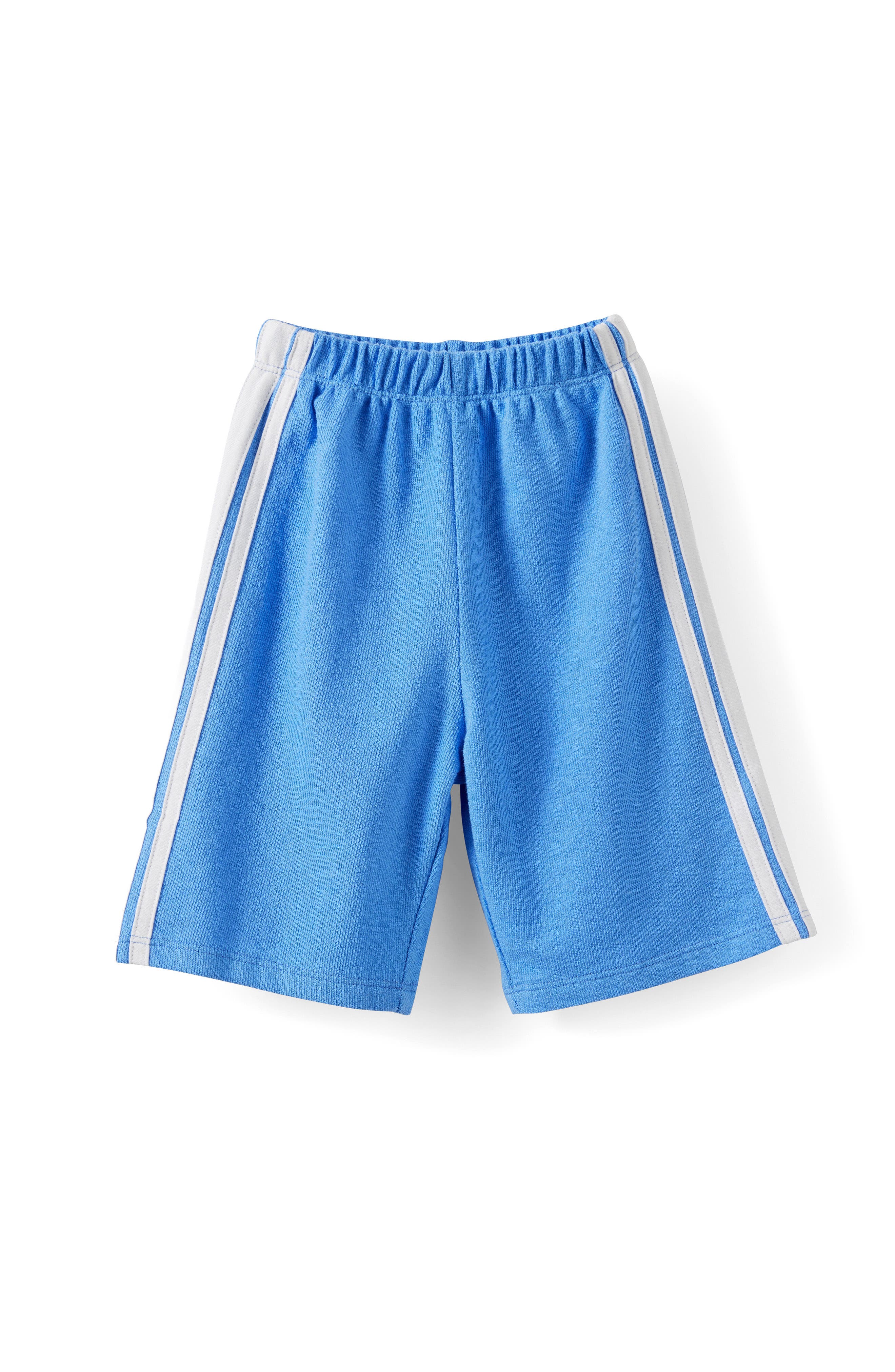 selected Blue Bonnet