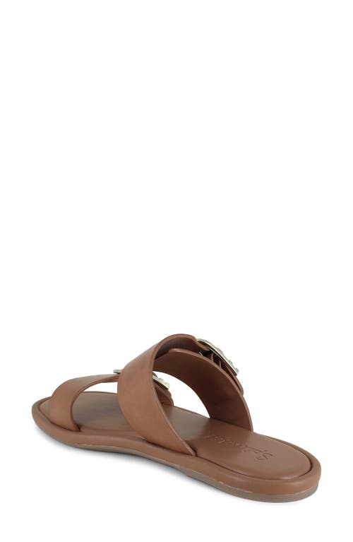 Splendid Women's Farrin Slip On Buckled Slide Sandals In Macchiato