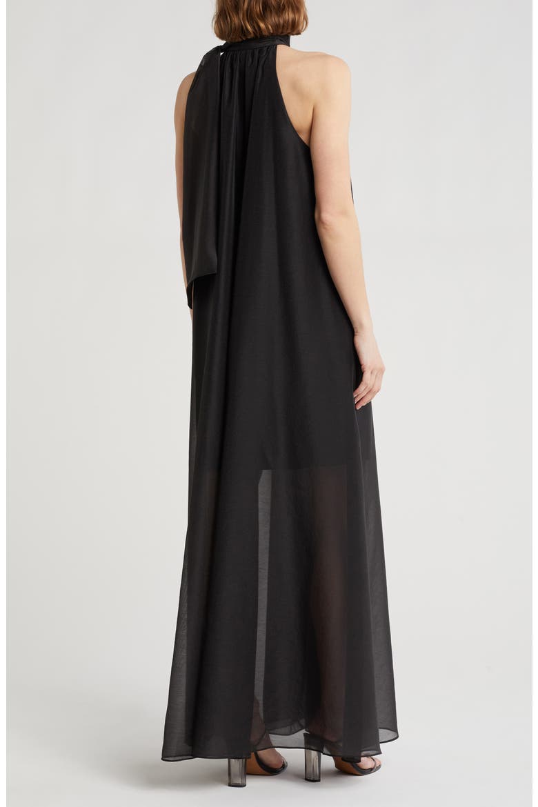 Arikka Sleeveless Organza Maxi Dress, Alternate, color, BLACK