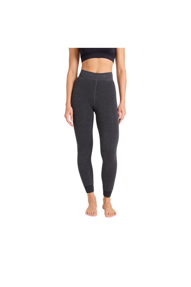 Fleece Lined Heavyweight Pants, Alternate, color, Charcoal