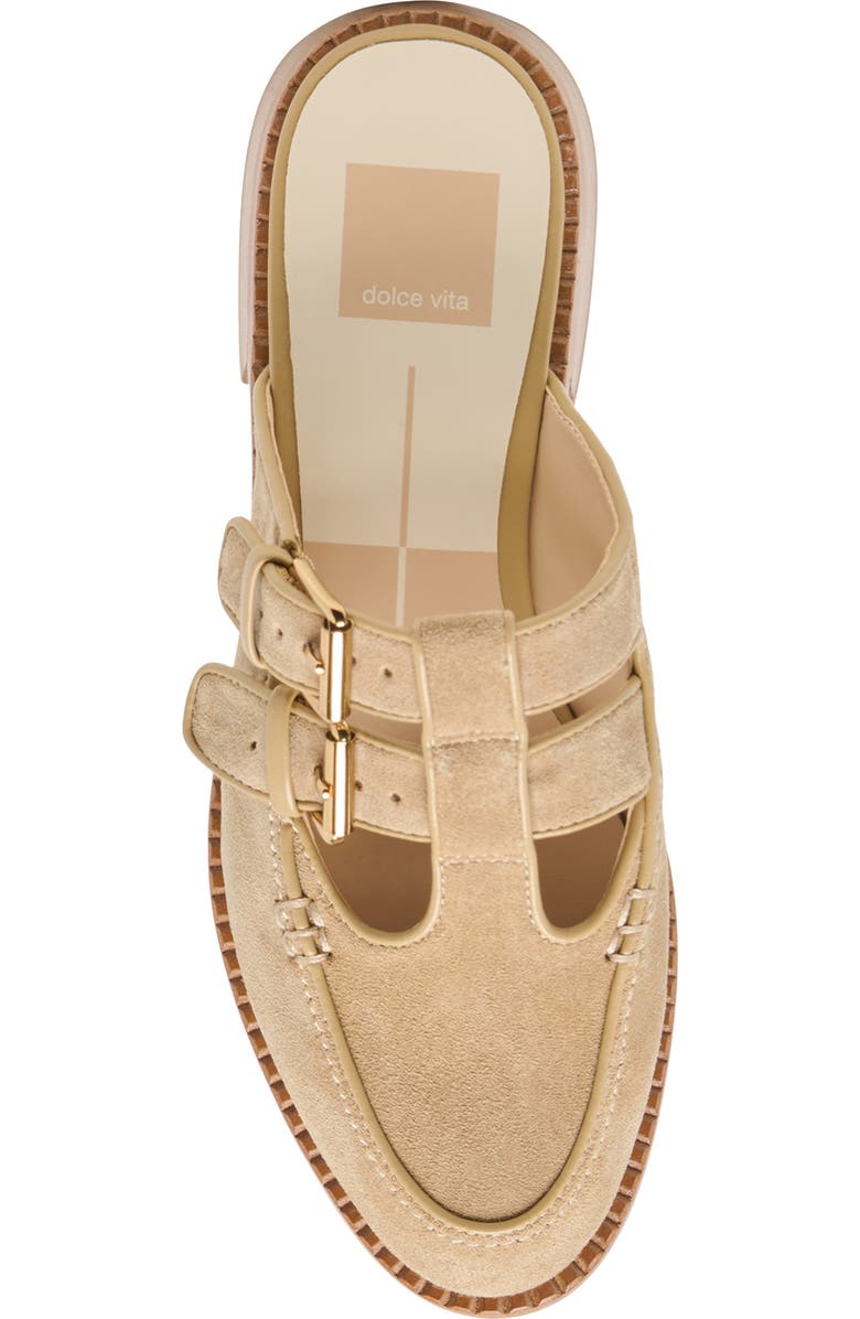 Dolce Vita Haydee Double Buckle Mary Jane Mule, Alternate, color, Dark Taupe Suede