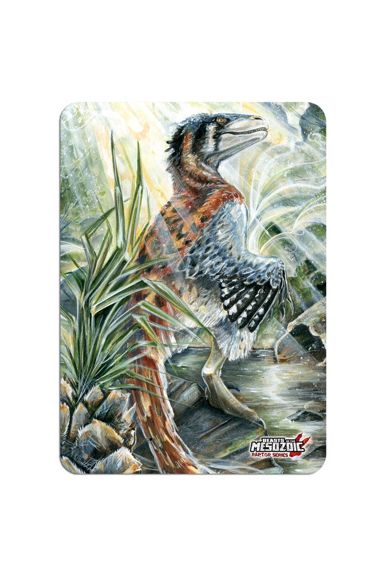 Dromaeosaurus Albertensis 1/6th Scale Action Figure, Alternate, color, Multicolored